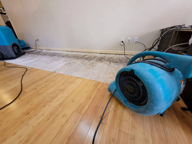 Professional Basement Flood Cleanup technician working in Jackson, WY